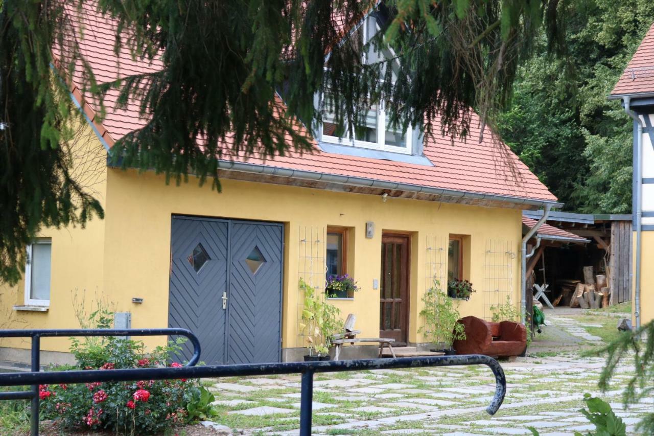 Am Tharandter Wald Apartment *